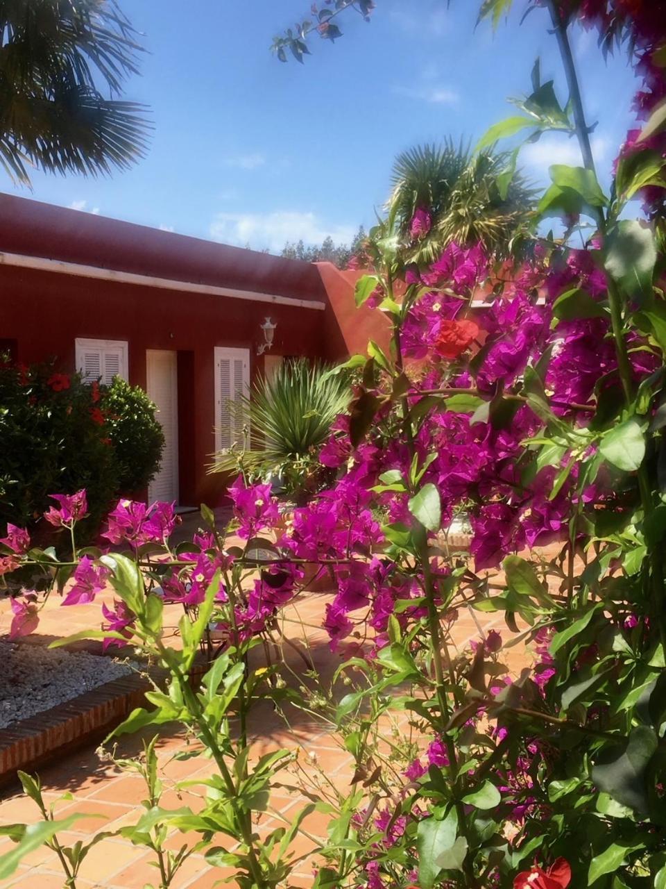 Hotel La Pena Tarifa Bagian luar foto