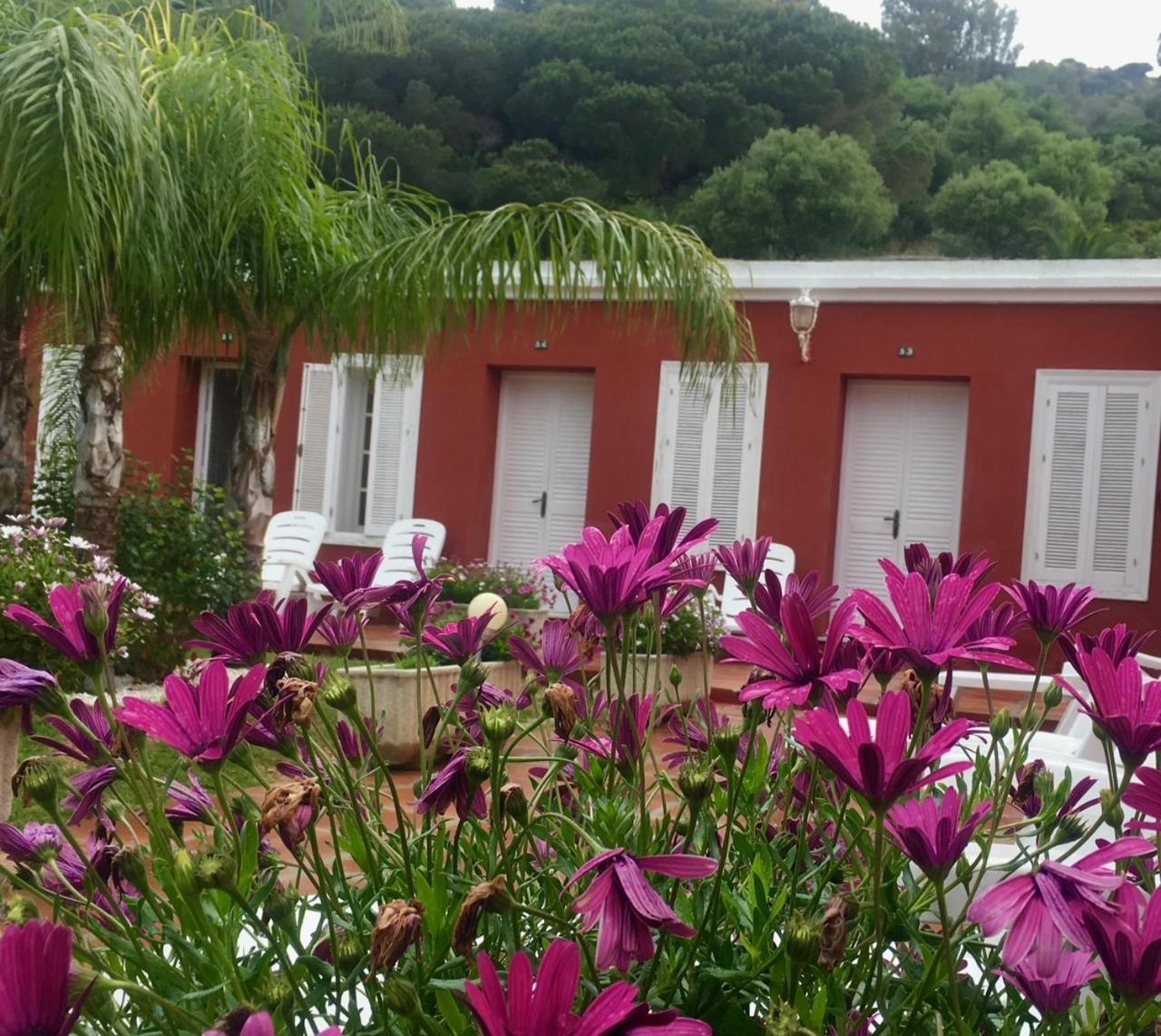 Hotel La Pena Tarifa Bagian luar foto